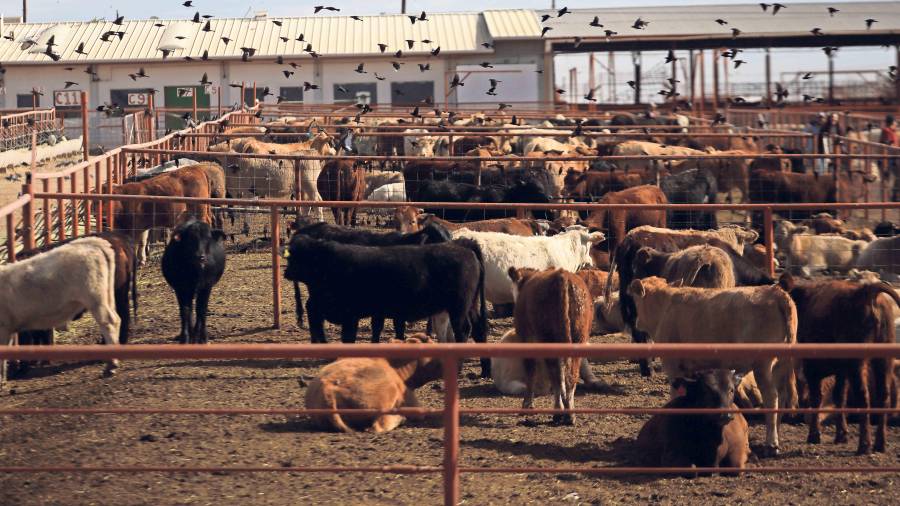 FOTO: ARCHIVO EL UNIVERSAL