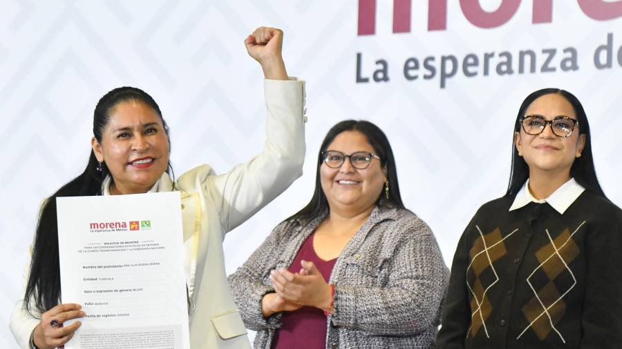 Se desempeñará como “Coordinadora Estatal de la Defensa de la Transformación”.