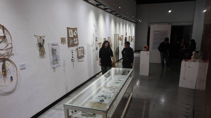 Exploran el desierto, el bosque y la ciudad por medio del arte textil y la literatura