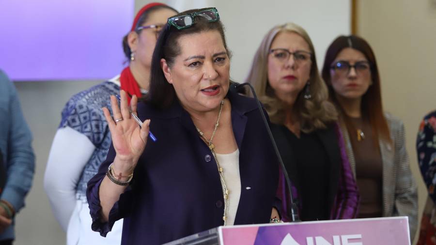 Taddei insistió al Congreso en que en la reforma debe aclararse que el INE únicamente funcionará como intermediario.