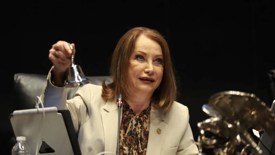 ”Sí, en la plenaria vamos a participar y a votar por el nuevo o la nueva presidenta”, aseguró al ser cuestionada sobre el tema.