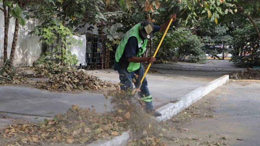 Las cuadrillas de ‘Aquí andamos’ realizan labores de deshierbe y retiro de maleza que obstruye el tránsito de los ciudadanos.