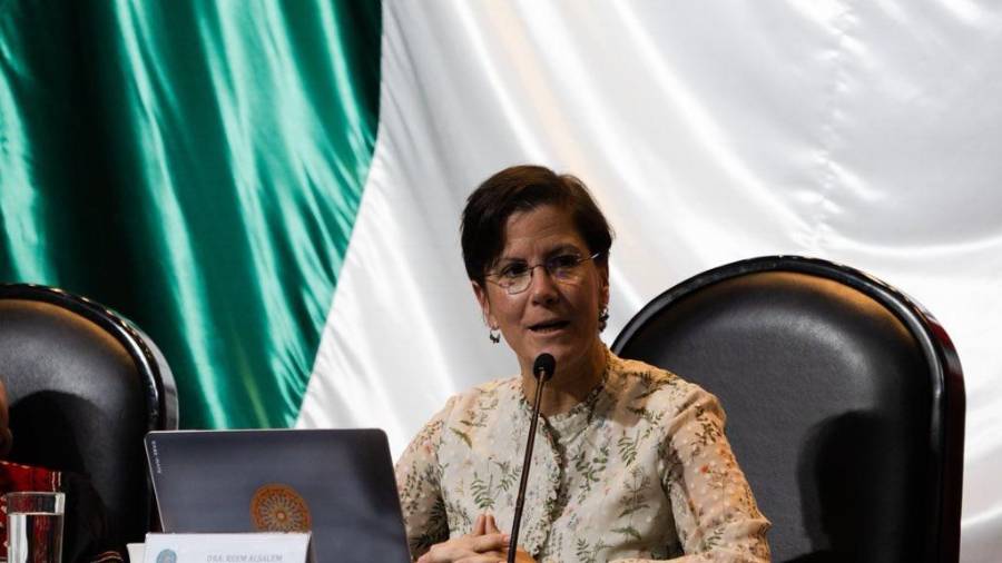 Alsalem sostuvo que la subrogación “explota a las mujeres” y las somete a coerción.