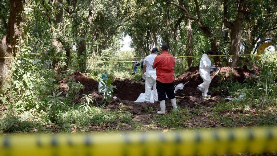Fue localizada una parcela ubicada entre las comunidades de El Verde y Zavala, en el municipio de Concordia.