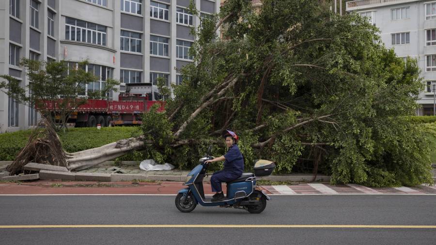 El tifón ‘Bavi’, ya debilitado tras tocar tierra durante la medianoche en la costa oriental de China, avanza este domingo hacia el interior del país.