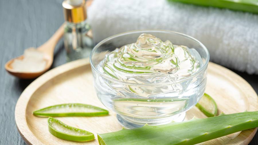 Entre los remedios naturales más utilizados destaca el aloe vera.