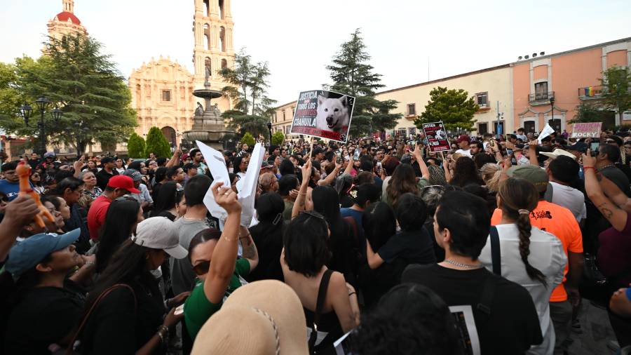 El caso de Rocky ha provocado manifestaciones para exigir justicia y sanciones ejemplares por el maltrato animal.
