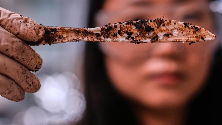 Katie Byun sostiene un cuchillo compostable, hecho con plástico a partir de plantas, en la empresa CJ Biomaterials, el 3 de agosto de 2026, en Woburn, Massachusetts.