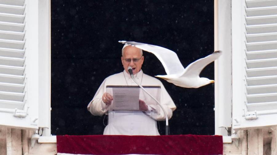 Una gaviota vuela frente al Papa León XIV, quien aparece en la ventana de su estudio con vista a la Plaza de San Pedro para la bendición dominical de los fieles reunidos para la oración del Ángelus del mediodía.