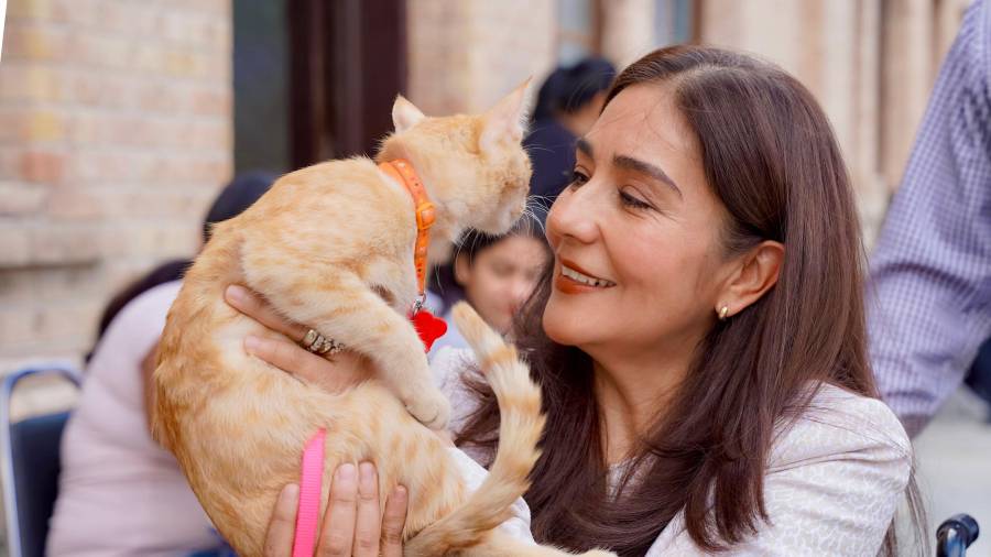 DIF Ramos Arizpe apoya con jornadas gratuitas de atención veterinaria para fomentar la salud de las mascotas.