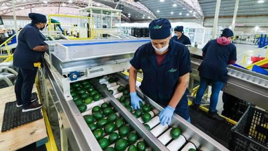 El estado logró cerrar en el mes de junio con 849 mil 800 puestos de trabajo, lo que superó a los 848 mil 325 de mayo.