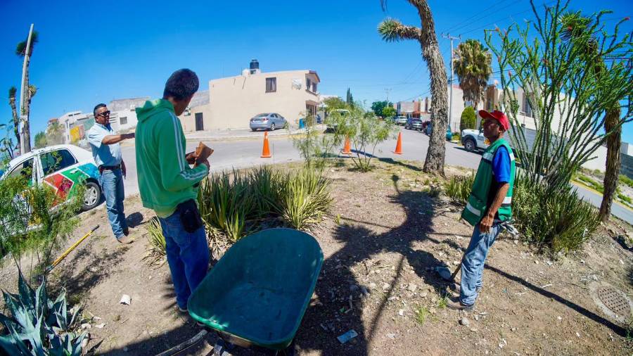 Los trabajos también forman parte de las medidas preventivas de protección civil ante la temporada de lluvias.