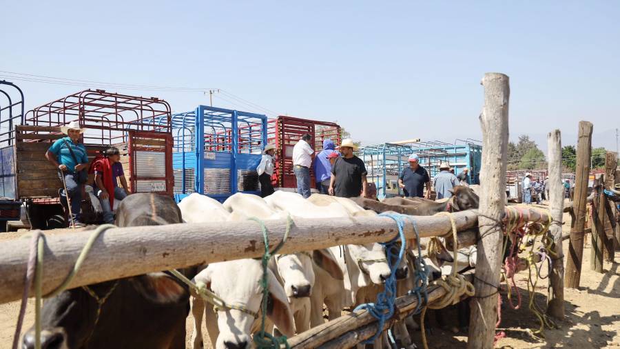 Desarrollo Rural sostiene que Coahuila cumple con todos los requisitos para reanudar la exportación.