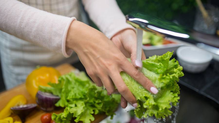 Ante este panorama, el IMSS explicó cuál es la manera adecuada de lavar y desinfectar frutas y verduras, además de recordar la importancia del uso de agua y jabón para prevenir infecciones.