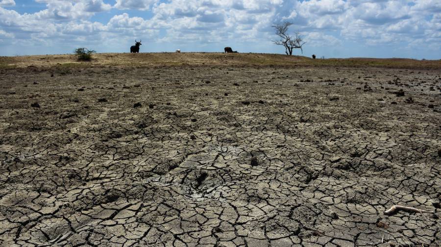 Las proyecciones meteorológicas para la segunda mitad de 2026 anticipan un cambio significativo en las condiciones climáticas.