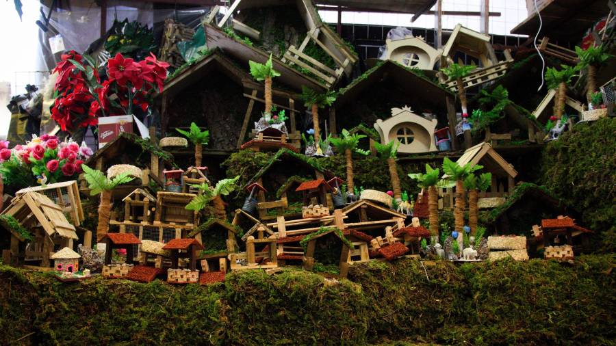 Cada diciembre, miles de familias en México salen al campo o a mercados locales para conseguir musgo natural.