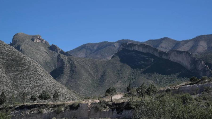 Fotografiar y observar las especies, en lugar de extraerlas, permite conocer la biodiversidad sin alterarla.