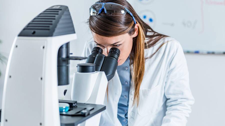 El Sistema Estatal de Investigadores de Coahuila 2026 abrió su convocatoria para estudiantes, académicos y especialistas de la entidad.