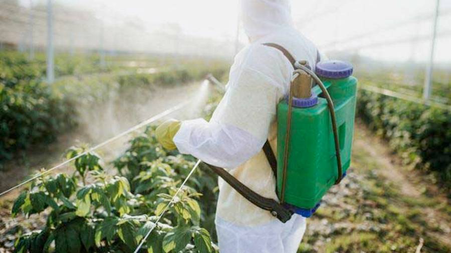 Gobierno de México saca del mercado 19 pesticidas de Bayer-Monsanto que dañan la salud; desde 2015 se debieron prohibir