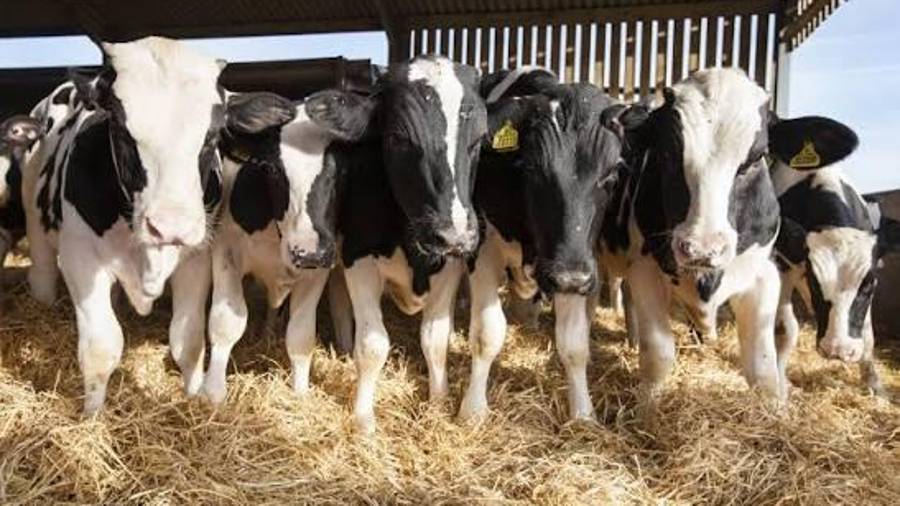 Tuvo que pagar diversas multas por el delito cometido.