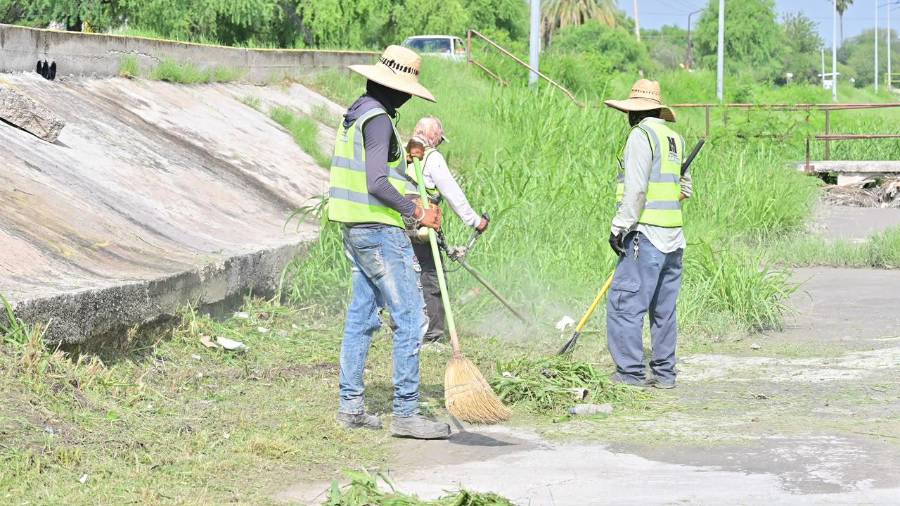 Brigadas municipales realizaron más de 800 acciones de mantenimiento urbano en distintos sectores de Monclova.