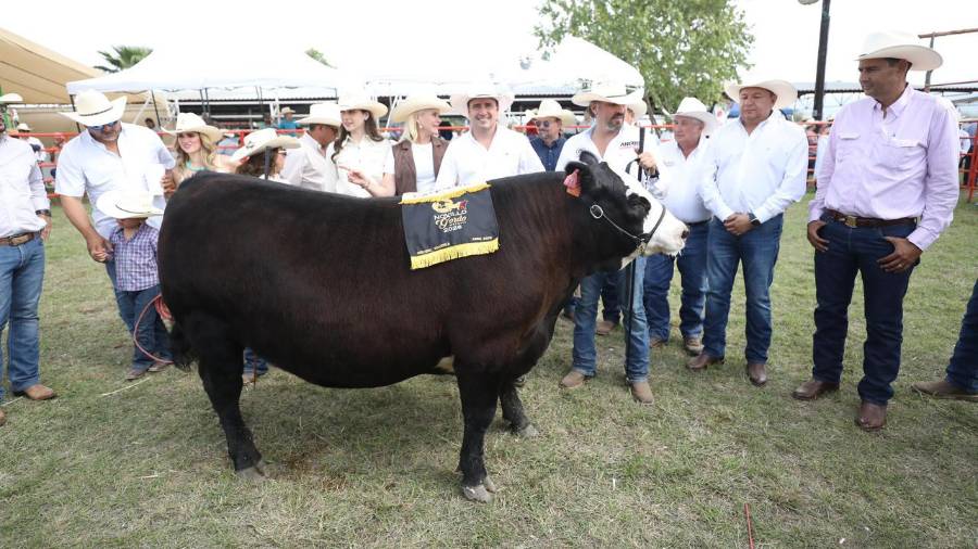 Autoridades estatales anuncian programa para fortalecer la calidad del hato ganadero.
