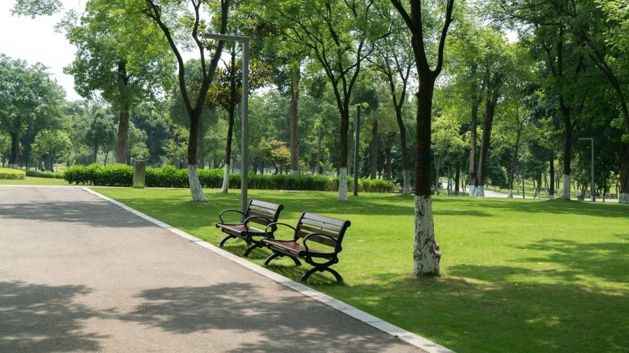 ¿Habías escuchado sobre el paisajismo? Es una práctica que cobra cada vez más importancia en todo el mundo.