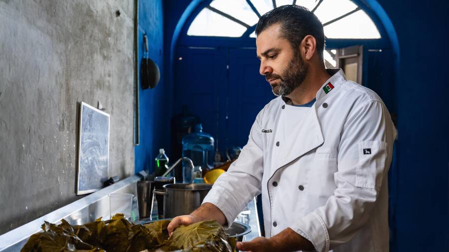 Concentrado en el corazón del platillo: la selección de hojas de parra.