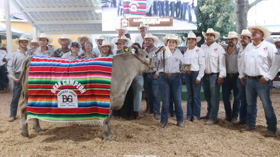 Alejandro Gutiérrez Iribarren recibió el reconocimiento como Gran Campeón del XLIV Concurso del Becerro Gordo de Sabinas, con el ejemplar identificado con el arete 95.