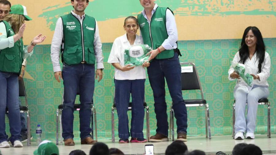 El programa está dirigido a madres cuidadoras y personas con dificultad para encontrar empleo.