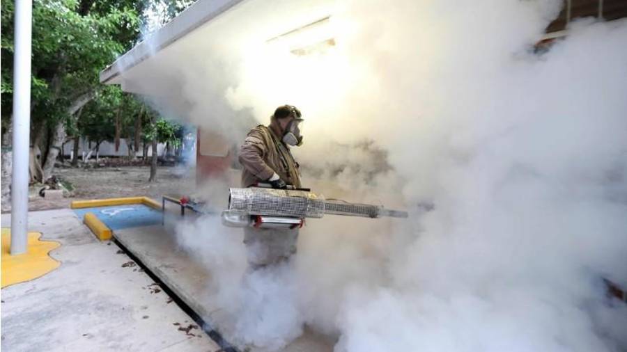 Brigadas de la Secretaría de Salud realizan labores de fumigación y aplicación de abate en distintos municipios de Coahuila.