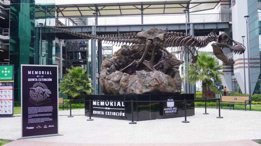 La muestra promueve a Coahuila como destino de turismo científico, de naturaleza, aventura y enológico.