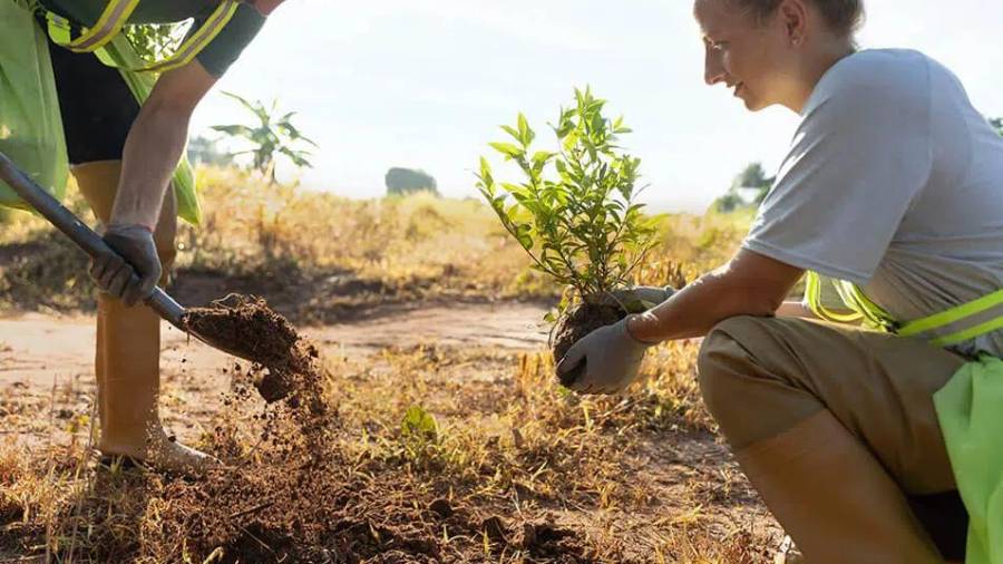 La Universidad Autónoma de Coahuila analiza una iniciativa para que estudiantes planten un árbol como requisito de titulación, como parte de las estrategias de sustentabilidad impulsadas por la institución.