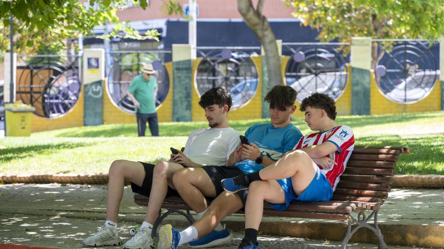 La mayoría de los adolescentes usan las redes sociales sin que tengamos evidencias de que estas son lo suficientemente seguras.