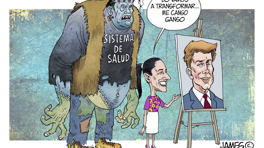 Cirugía plástica para el sistema de salud