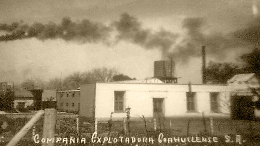 Un puntual en las apuestas económicas del distinguido empresario, fue la compañía dedicada a la obtención del Guayule.