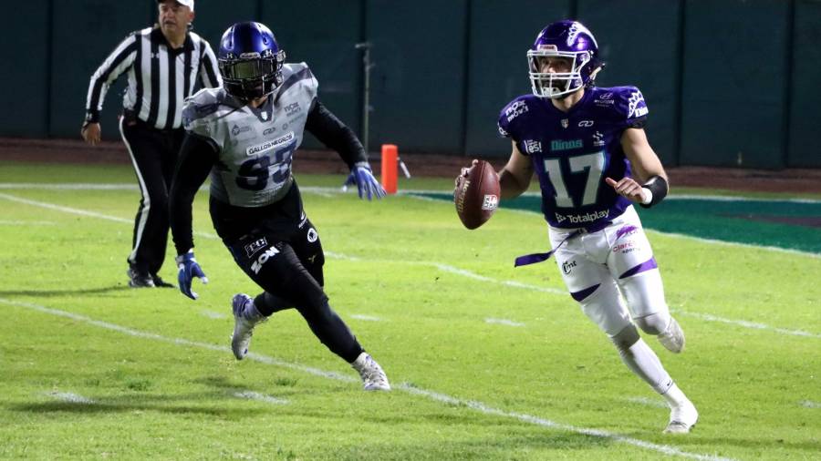 Los Dinos de Saltillo conocieron su calendario, habrá Clásico del Norte por partida doble en la LFA 2023.