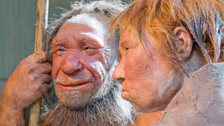 Esta fotografía de archivo del viernes 20 de marzo de 2009 muestra reconstrucciones de un hombre neandertal, a la izquierda, y una mujer en el museo neandertal de Mettmann, Alemania.