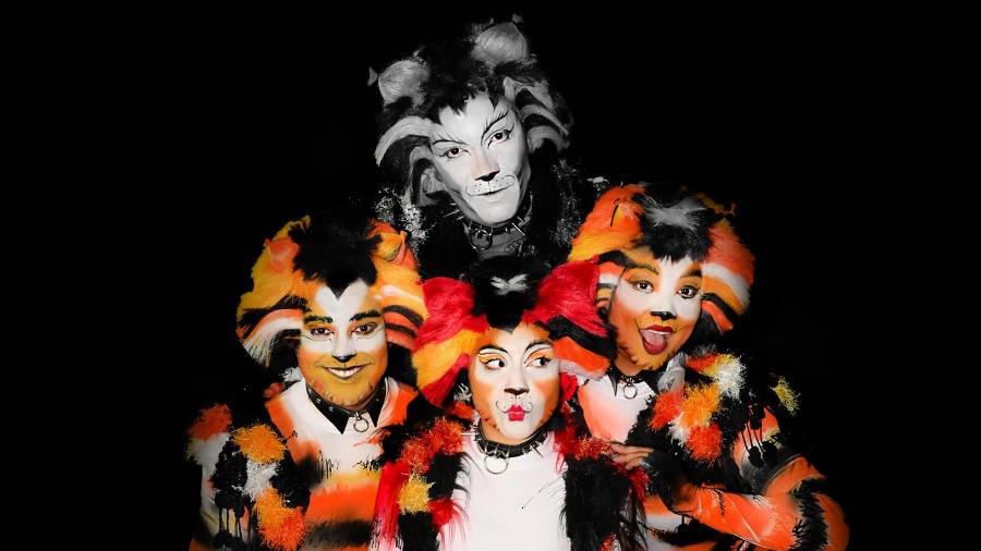 Cuarta Pared trae el musical ‘Cats’ de Andrew Lloyd Webber al Teatro de la Ciudad de Saltillo