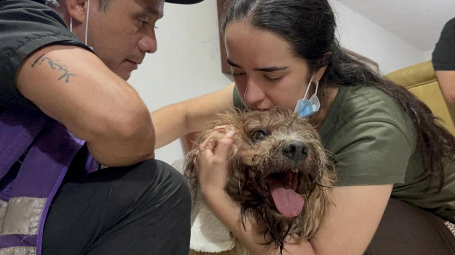 Camila Sepúlveda abraza a su perro Antonio, rescatado con vida a más de nueve metros de profundidad entre los escombros de un edificio de Torres del Limonar en Cali, Colombia.