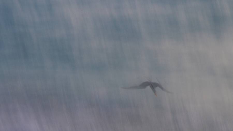 7 tips para encontrar inspiración