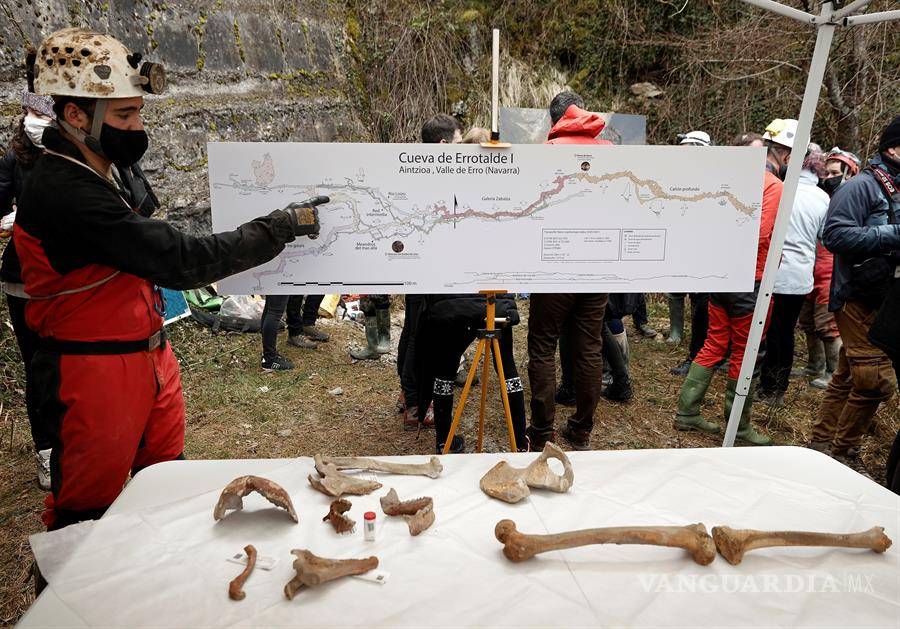 $!El hombre de Loizu, uno de los esqueletos mejor conservados de prehistoria de 11,700 años