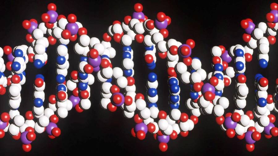En una nueva investigación, los autores lograron identificar el que hasta ahora es el mayor número de asociaciones genéticas vinculadas con la ansiedad.