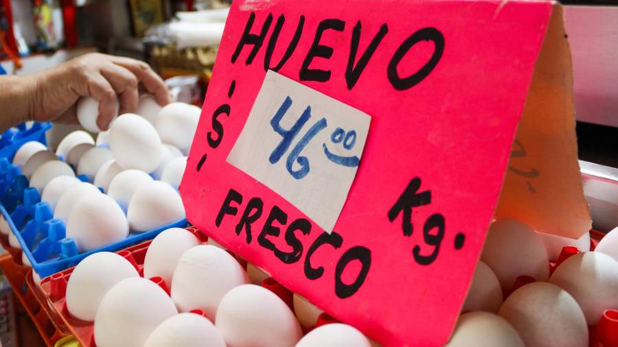 El precio del huevo varía según la región y el establecimiento; en algunas zonas del país el kilogramo supera los 80 pesos, de acuerdo con datos de mercado.
