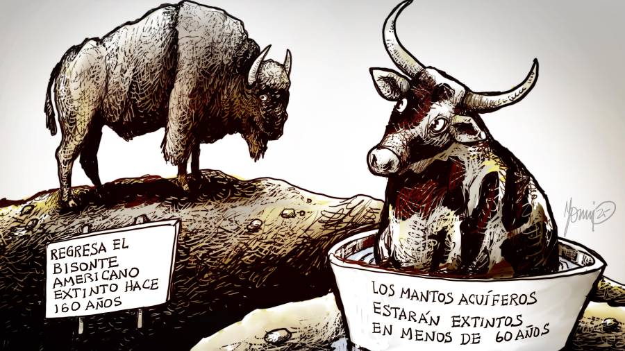 Extinciones del pasado y del futuro