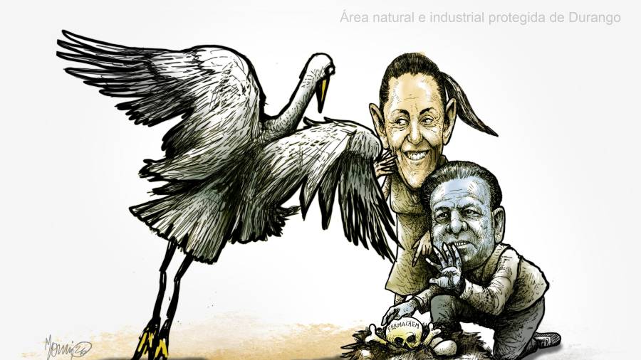 Área natural e industrial protegida de Durango