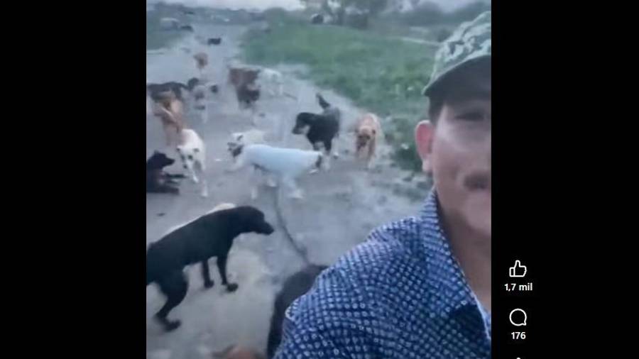 Daniel Martínez, responsable del refugio pidió apoyo al Gobierno Municipal para atender las necesidades de los perros rescatados.
