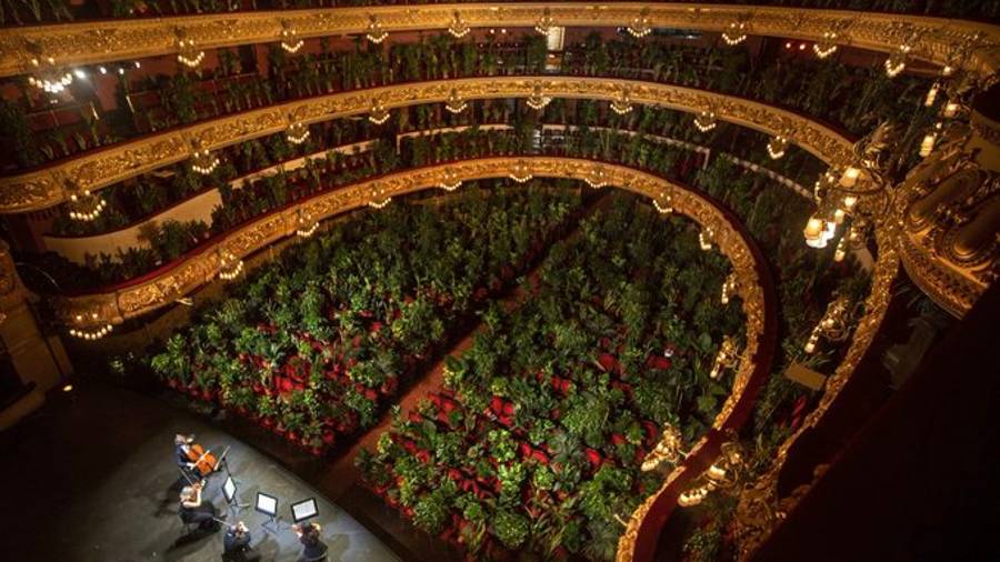 Liceu de Barcelona reabre con concierto para más de 2 mil plantas