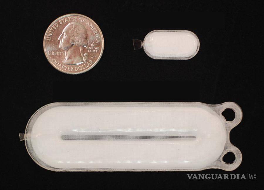 $!Unidad de administración (abajo) que es implantada con un dispositivo centinela más pequeño (arriba a la derecha) junto a una moneda. Foto de ViaCyte.