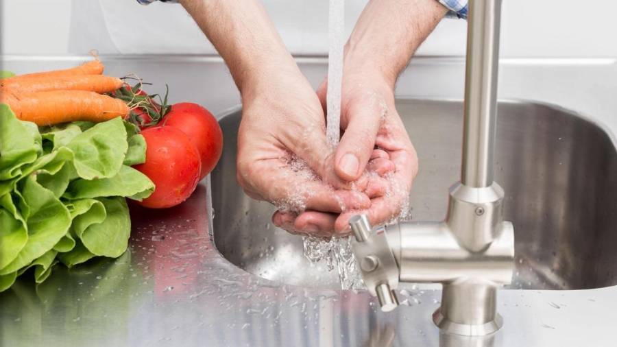 Exhortan a lavar y desinfectar frutas y verduras adecuadamente.